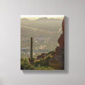 Saguaro Cactus Apache Junction & Pheonix AZ 8 x 10 Canvas Afdruk (Voorkant)