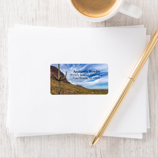 Saguaro Cactus Arizona Blue Sky Dramatic Clouds La Etiket (Insitu)