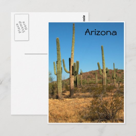 Saguaro cactus, Arizona - briefkaart (Voorkant / Achterkant)