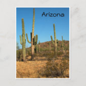 Saguaro cactus, Arizona - briefkaart (Voorkant)
