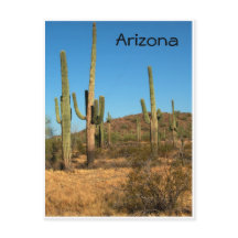 Saguaro cactus, Arizona - briefkaart