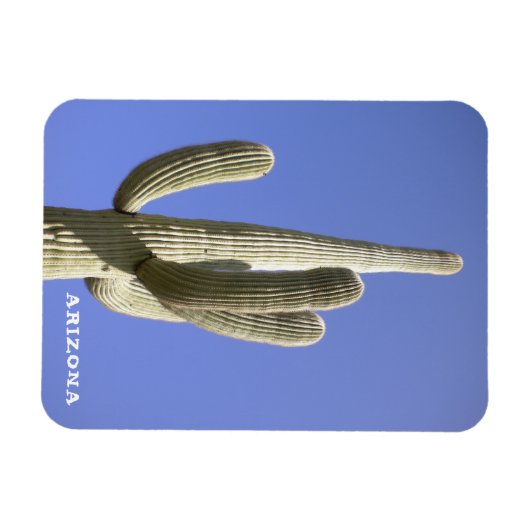 Saguaro Cactus - Arizona - Magneet (Horizontaal)