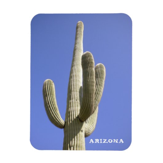 Saguaro Cactus - Arizona - Magneet (Verticaal)