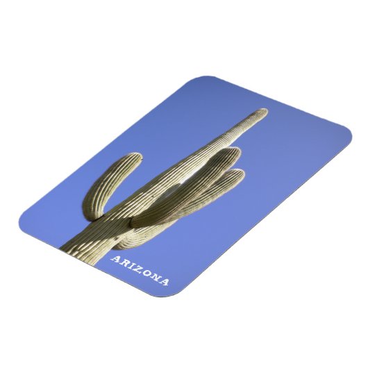 Saguaro Cactus - Arizona - Magneet (Linkerzijde)