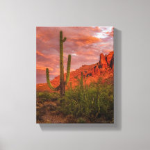 Saguaro Cactus Arizona Sunset Terracotta Red 11x14