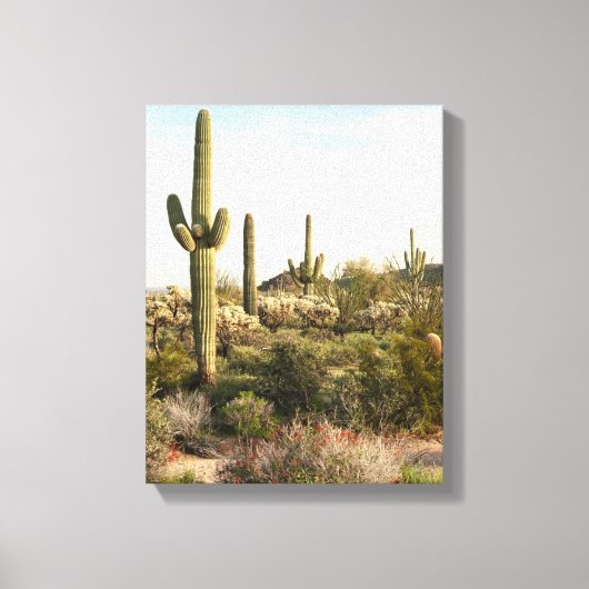 Saguaro Cactus, Arizona, Verenigde Staten Canvas Afdruk (Voorkant)