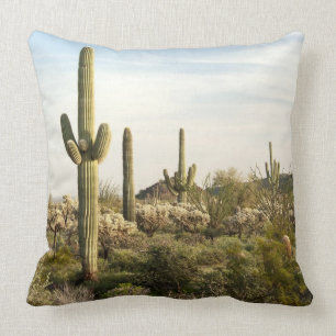 Saguaro Cactus, Arizona, Verenigde Staten Kussen