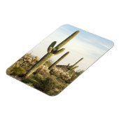 Saguaro Cactus, Arizona, Verenigde Staten Magneet (Linkerzijde)