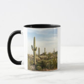 Saguaro Cactus, Arizona, Verenigde Staten Mok (Links)