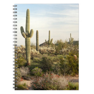 Saguaro Cactus, Arizona, Verenigde Staten Notitieboek