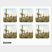 Saguaro Cactus, Arizona, Verenigde Staten Vierkante Sticker (Vel)