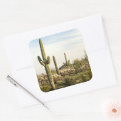 Saguaro Cactus, Arizona, Verenigde Staten Vierkante Sticker (Envelop)
