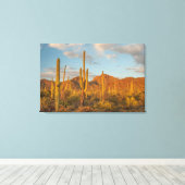 Saguaro cactus at sunset, Arizona Canvas Afdruk (Insitu (Houten vloer))