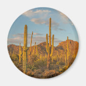 Saguaro cactus at sunset, Arizona Magneet (Voorkant)