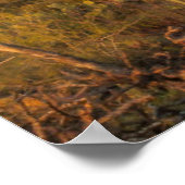 Saguaro cactus at sunset, Arizona Poster (Hoek)