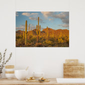 Saguaro cactus at sunset, Arizona Poster (Keuken)