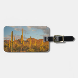 Saguaro cactus bij zonsondergang, Arizona Bagagelabel