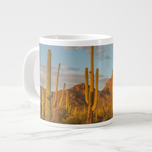 Saguaro cactus bij zonsondergang, Arizona Grote Koffiekop (Links)