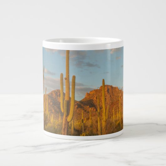 Saguaro cactus bij zonsondergang, Arizona Grote Koffiekop (Voorkant)