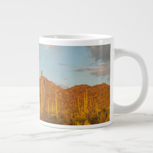 Saguaro cactus bij zonsondergang, Arizona Grote Koffiekop (Rechts)