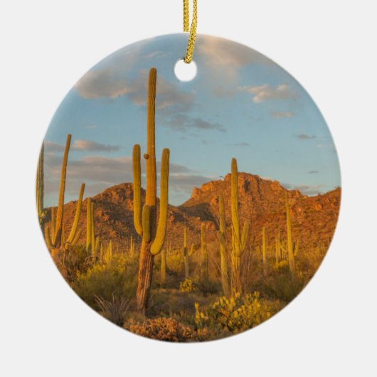 Saguaro cactus bij zonsondergang, Arizona Keramisch Ornament (Voorkant)