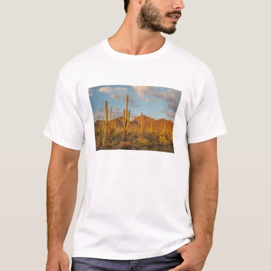 Saguaro cactus bij zonsondergang, Arizona T-shirt (Voorkant)
