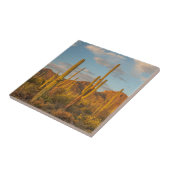 Saguaro cactus bij zonsondergang, Arizona Tegeltje (Zijkant)