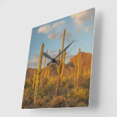 Saguaro cactus bij zonsondergang, Arizona Vierkante Klok (Hoek)
