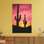 Saguaro cactus bij zonsopgang, Arizona Canvas Afdruk (Insitu (Woonkamer))