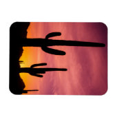 Saguaro cactus bij zonsopgang, Arizona Magneet (Horizontaal)