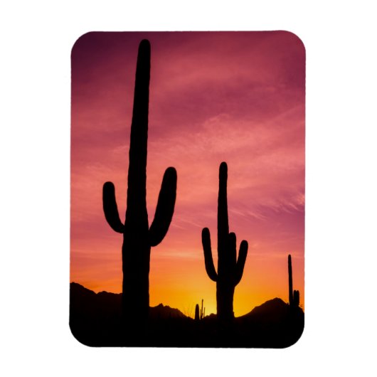 Saguaro cactus bij zonsopgang, Arizona Magneet (Verticaal)