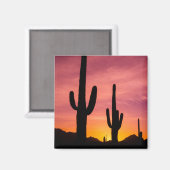 Saguaro cactus bij zonsopgang, Arizona Magneet (Voorkant / Achterkant)