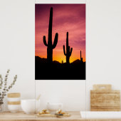 Saguaro cactus bij zonsopgang, Arizona Poster (Keuken)