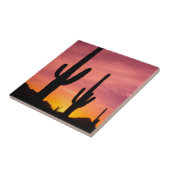 Saguaro cactus bij zonsopgang, Arizona Tegeltje (Zijkant)