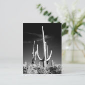 Saguaro Cactus Black en White Photo Arizona Briefkaart (Staand voorkant)