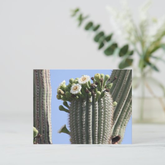 Saguaro Cactus Blooms Briefkaart (Staand voorkant)