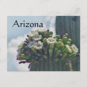 Saguaro cactus blooms briefkaart, Arizona Briefkaart