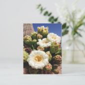 Saguaro Cactus Blossom - Arizona State Flower Briefkaart (Staand voorkant)