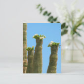 Saguaro Cactus Blossom Briefkaart (Staand voorkant)