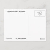 Saguaro Cactus Blossom Briefkaart (Achterkant)