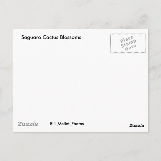Saguaro Cactus Blossom Briefkaart (Achterkant)