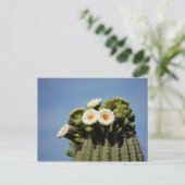Saguaro Cactus Blossoms Briefkaart (Staand voorkant)