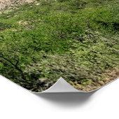 Saguaro Cactus Blue Skies Arizona Poster (Hoek)