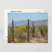 Saguaro Cactus Briefkaart (Voorkant / Achterkant)