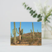 Saguaro cactus briefkaart (Staand voorkant)