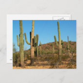 Saguaro cactus briefkaart (Voorkant / Achterkant)