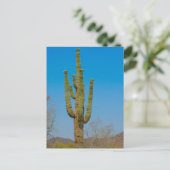 Saguaro Cactus Briefkaart (Staand voorkant)