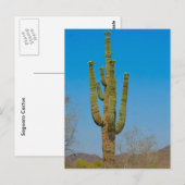 Saguaro Cactus Briefkaart (Voorkant / Achterkant)