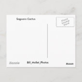 Saguaro Cactus Briefkaart (Achterkant)