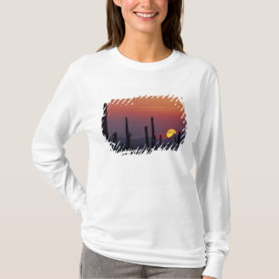 Saguaro Cactus Carnegiea gigantea), Zonsondergang, T-shirt